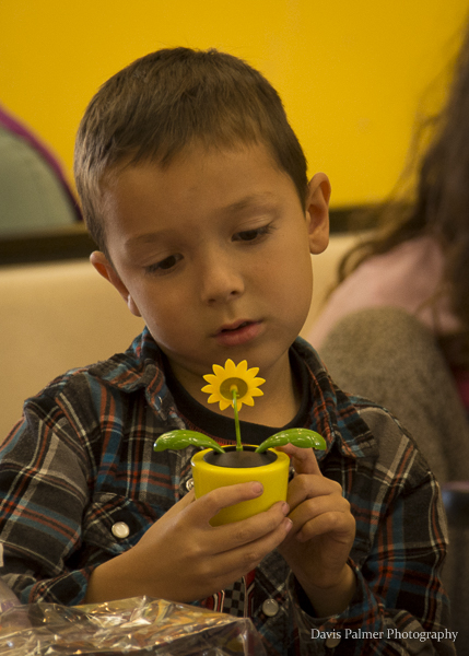 Minnie Cannon School Student at the Daffodil Day event.